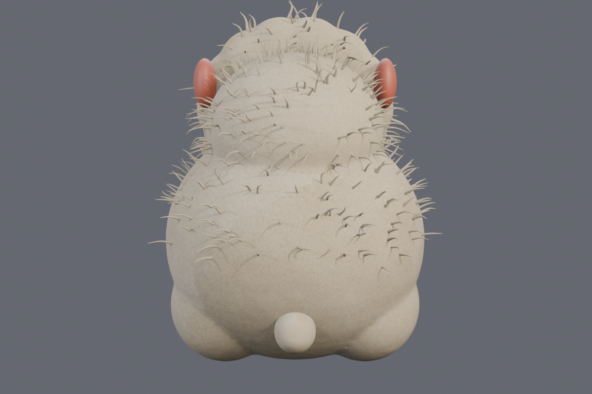 Probe model — back