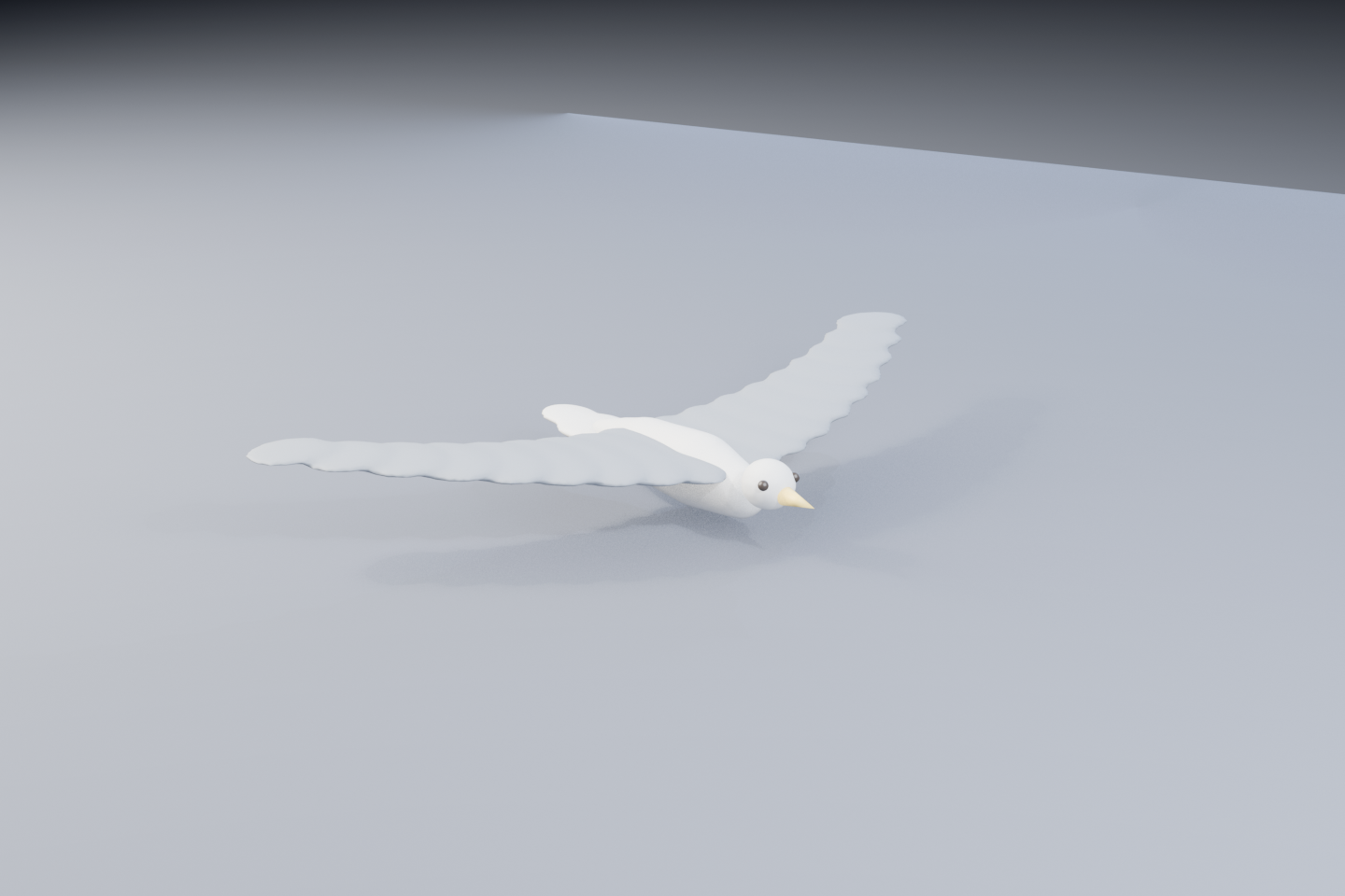 gull