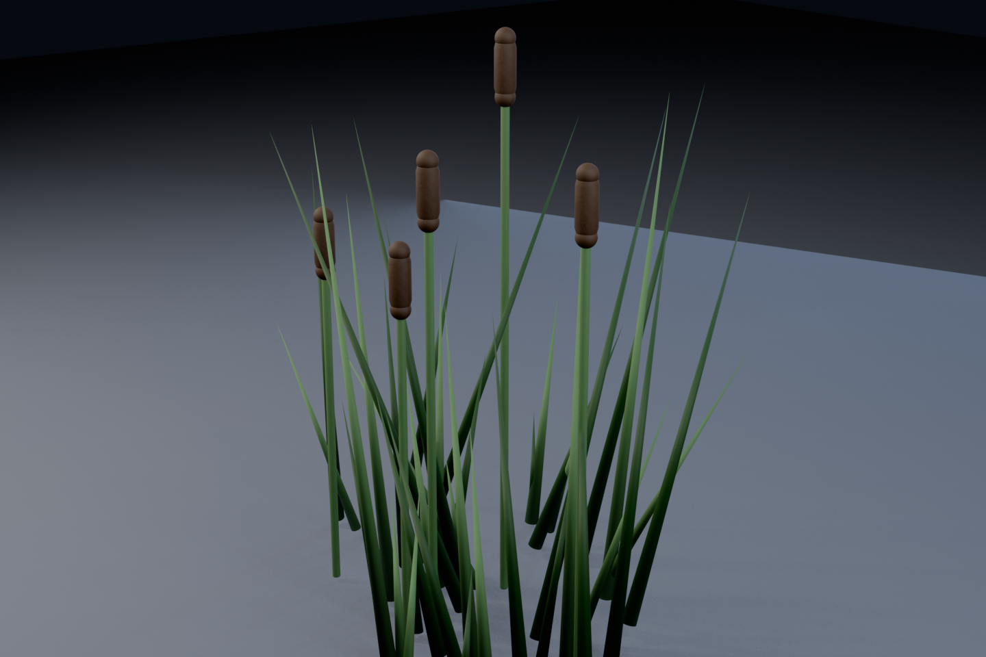 Blender studio render 6